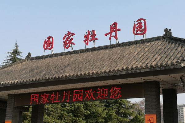 洛阳有哪些值得一去的景点 洛阳景点推荐
