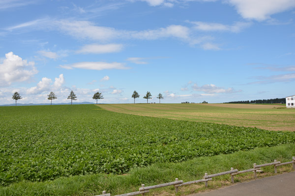 重庆武隆哪些景点好玩 重庆武隆旅游景点
