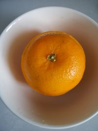 橙香燕窝的做法步骤7