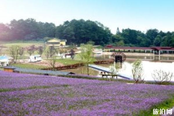 2019重庆綦江横山花仙谷中秋节有什么活动