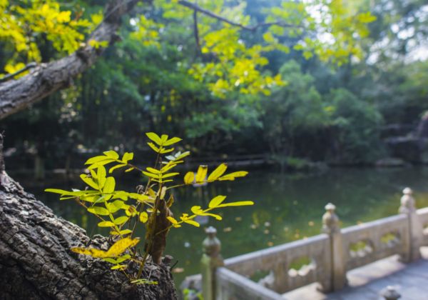 安徽芜湖南陵县的风景名胜有哪些