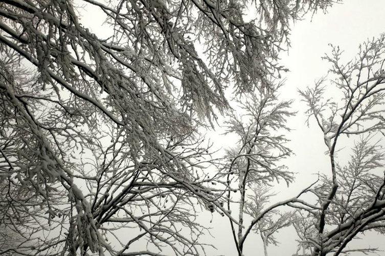 披银霜！四川万源八台山迎来今冬首场大雪