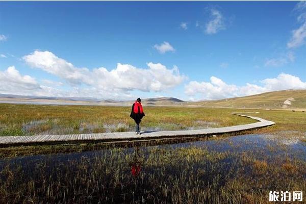 甘南七日游路线攻略