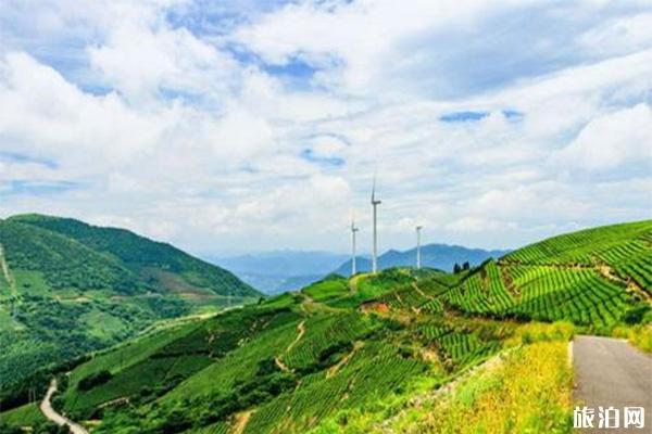 宁波白岩山风车公路最佳游玩时间