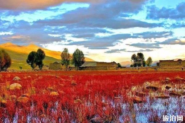 成都到四姑娘山稻城亚丁丹巴环线自驾游攻略+路线 成都到四姑娘山稻城亚丁丹巴环线自驾游攻略+路线