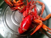 烧龙虾的做法步骤7