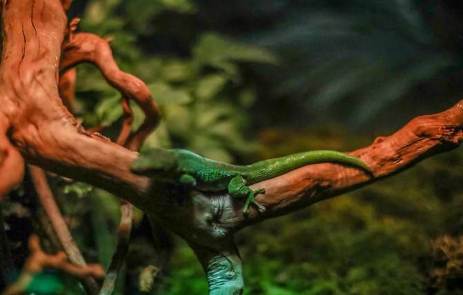 西宁童梦乐园在哪 西宁童梦乐园游玩攻略 西宁童梦乐园在哪 西宁童梦乐园游玩攻略