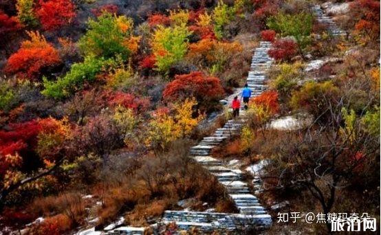 11月份适合去哪里旅游国内