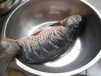 茄汁鲤鱼的做法步骤1