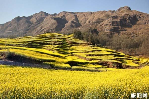2020全国旅游年票云南景点名单+购买+使用