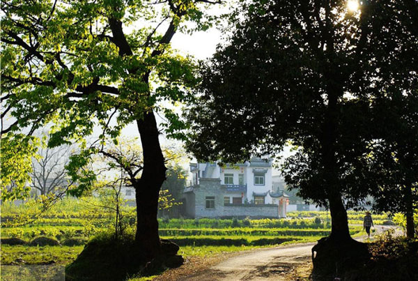 清明节去哪里旅游好 适合清明游玩的地方