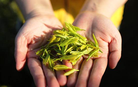 台州有哪些特色名茶 浙江台州特产