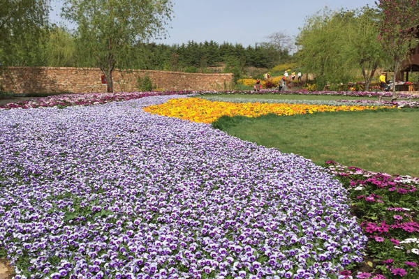 辽宁四月份去哪赏花 辽宁赏花好去处