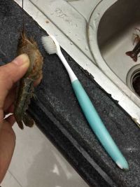 香辣啤酒小龙虾的做法步骤7