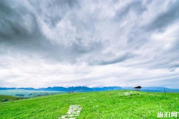 新疆六大花海 新疆最值去的花节有哪些 新疆六大花海 新疆最值去的花节有哪些
