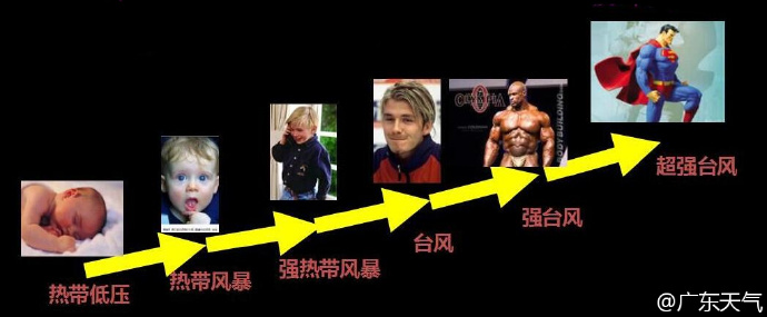 台风家族关系.jpg