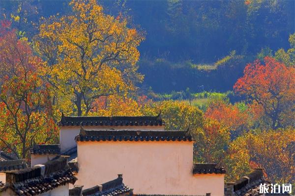 安徽皖南可以徒步游玩的古道有哪些 安徽皖南可以徒步游玩的古道有哪些