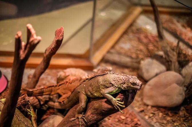 西宁童梦乐园在哪 西宁童梦乐园游玩攻略 西宁童梦乐园在哪 西宁童梦乐园游玩攻略