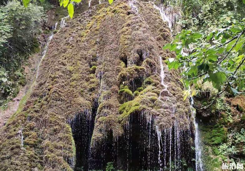 洛阳自驾游攻略三日游 洛阳自驾游攻略三日游