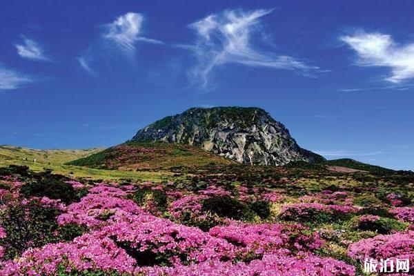 韩国首尔济州岛五日游攻略