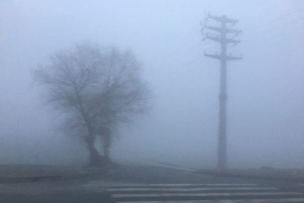 江苏大雾阻交通 今夜起南京等地阴雨天增多