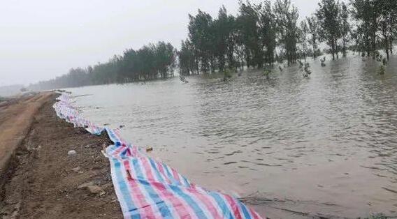 江西又一地喊话在外青年返乡抗洪 多个站点水位创历史新高