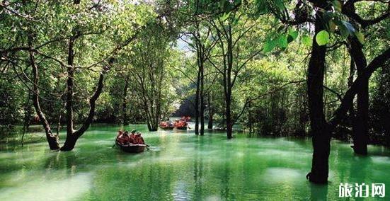 荔波旅游攻略景点必去有哪些