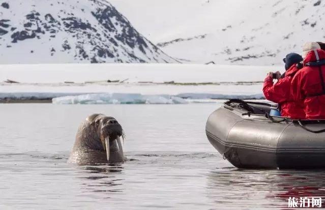 斯瓦尔巴群岛好玩吗 斯瓦尔巴群岛怎么样 斯瓦尔巴群岛好玩吗 斯瓦尔巴群岛怎么样