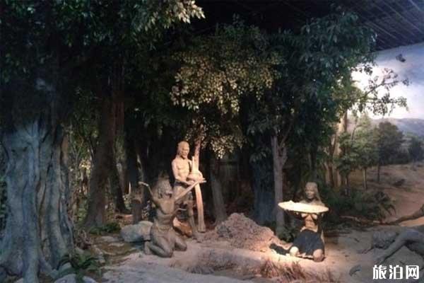 福建省昙石山遗址博物馆交通+地址+停车信息