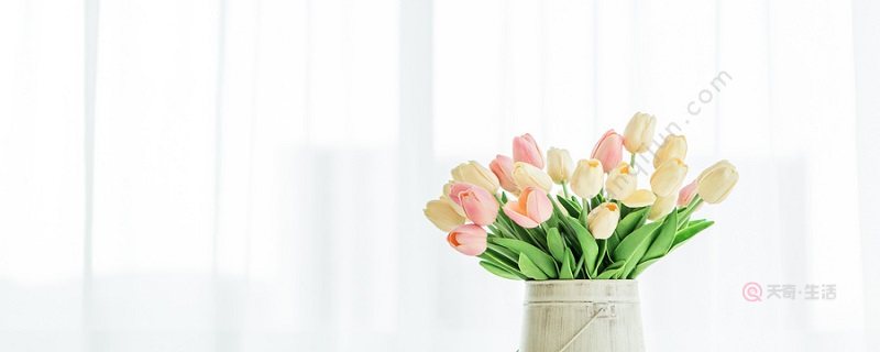 鲜花怎么养时间比较久