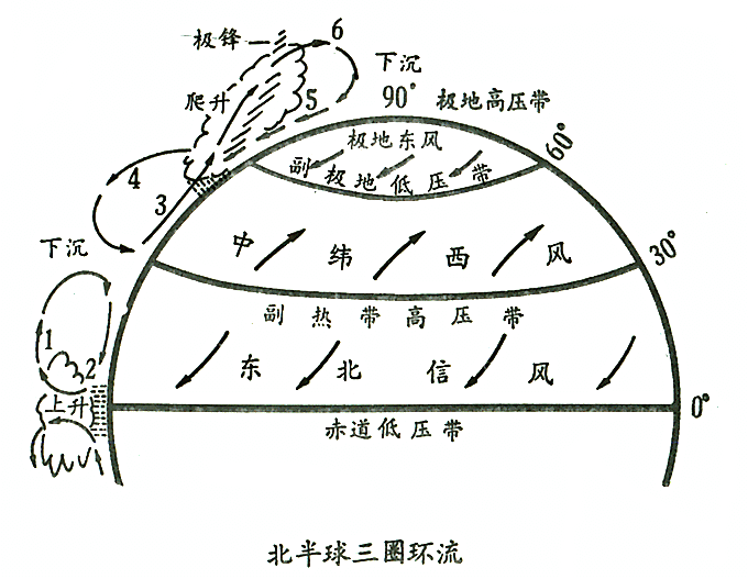 纬向环流是什么意思