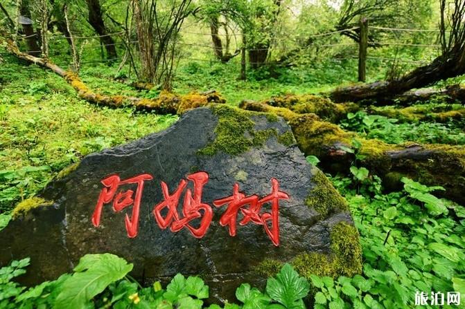 四姑娘山旅游攻略2019