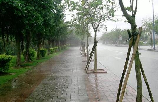 “五一”假期重庆气温将达36℃ 局地伴有冰雹等强对流天气