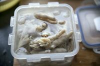 泡椒凤爪的做法步骤4