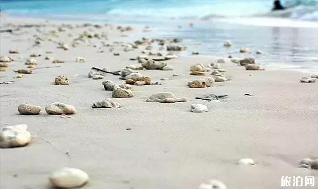 长滩岛有什么景点 长滩岛有什么景点