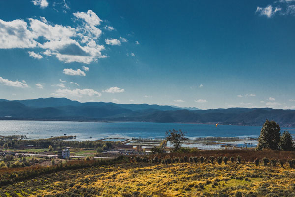 拉市海自由行怎么玩好 拉市海自由行攻略