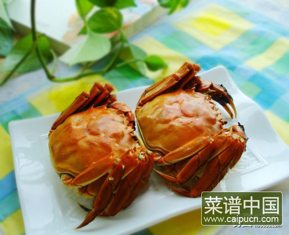 清蒸太湖蟹