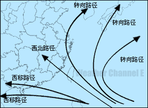 关于“台风” 你知道多少
