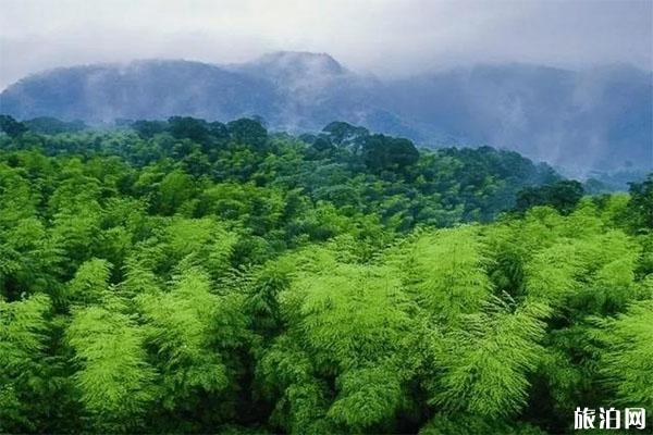 常州自驾游线路推荐 最美8条自驾游线路推荐 常州自驾游线路推荐 最美8条自驾游线路推荐