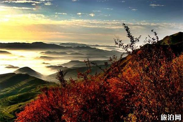 宁夏年冬季闭园景区信息汇总+宁夏景区淡季价格