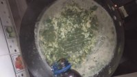 马齿笕鸡蛋羹的做法步骤11
