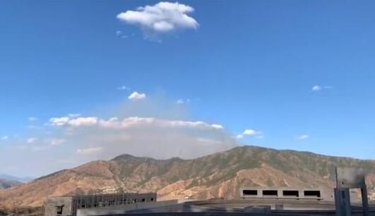 四川攀枝花景区发生森林火灾 目前火势已控制无人员伤亡