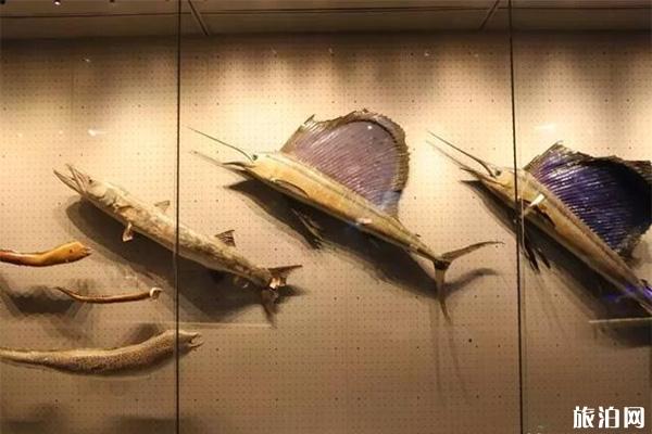 国家海洋博物馆有几个展厅