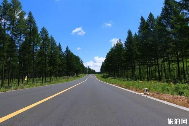 塞罕坝御道口自驾游旅游攻略