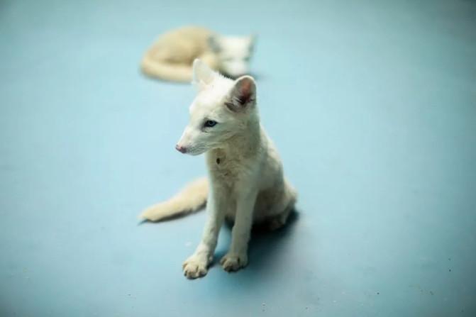 西宁童梦乐园在哪 西宁童梦乐园游玩攻略 西宁童梦乐园在哪 西宁童梦乐园游玩攻略