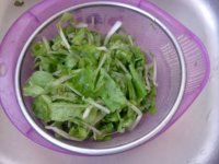 青菜鸡蛋炒面的做法步骤3