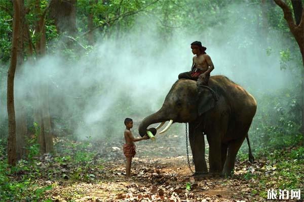 泰国的天气怎么样 最佳旅游时间是什么时候 泰国的天气怎么样 最佳旅游时间是什么时候