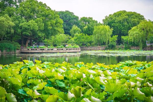 无锡蠡园游玩攻略 无锡蠡园有什么好玩的