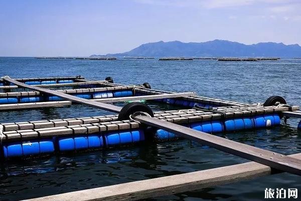 2019珠海桂山岛开渔时间+网红打卡点+美食推荐