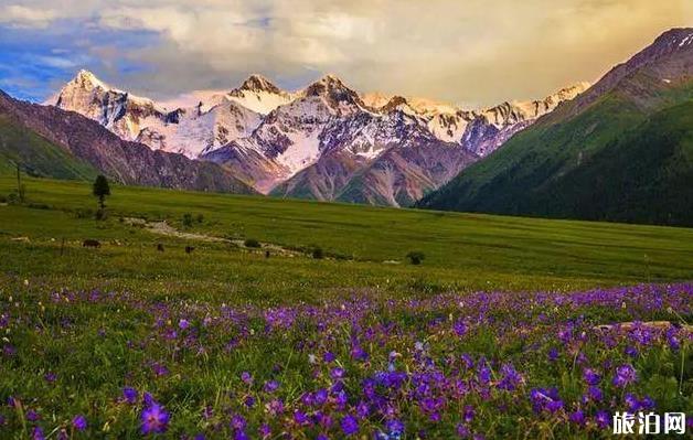 新疆旅游攻略详细版最新 新疆旅游攻略详细版最新